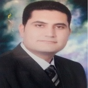 ABDELHADY MOHAMMAD ELSAYED