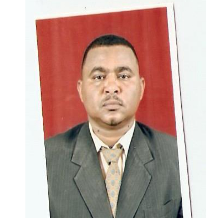 shawgi abdelrhmam elsiddig
