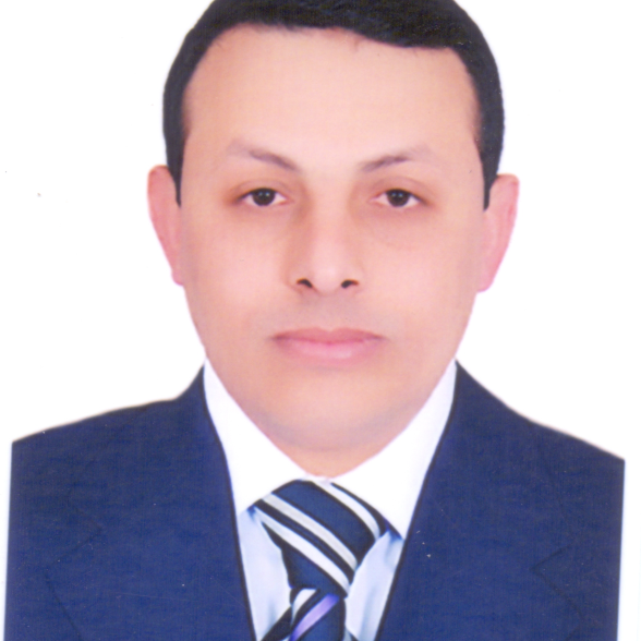 محمد السيد حسن نصر