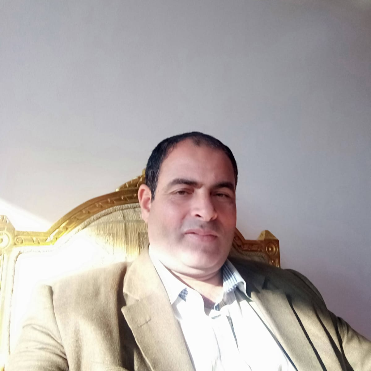 بشير السيد عجلان