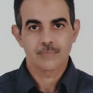 ماجد محمد فوده