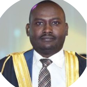 BADRELDIN MOHAMED MOHMED
