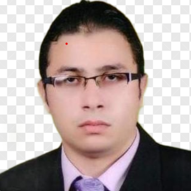 MOHAMED ELSAYED ELZEKI