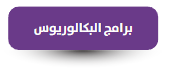 برامج البكالوريوس