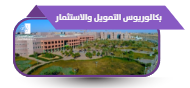 بكالوريوس التمويل والاستثمار