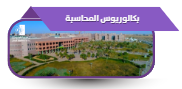 بكالوريوس المحاسبة