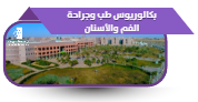 بكالوريوس طب جراحة الفم والأسنان
