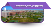 بكالوريوس نظم المعلومات