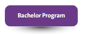 Bachelor Program