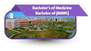 Bachelor of Medicine and Bachelor of Surgery (MBBS)