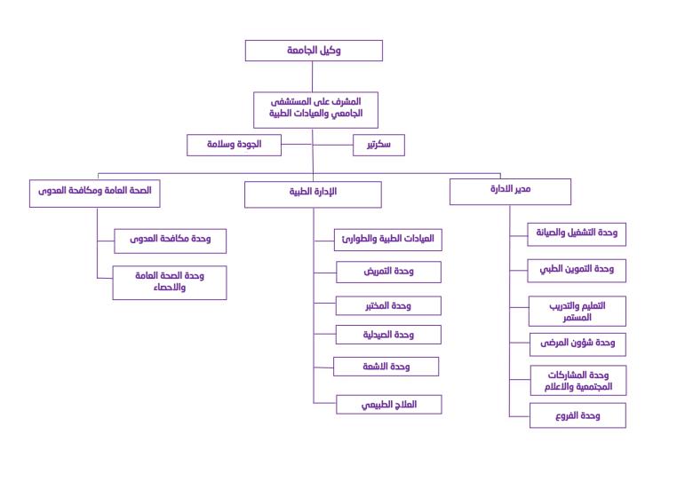 Organizational structure University Hospital and University Clinics