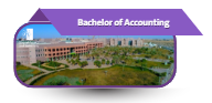 Bachelor of Accounting