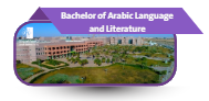 	 Bachelor of Arabic Language and Literature