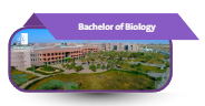 Bachelor of Biology