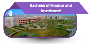 Bachelor of Finance and Investment