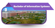 Bachelor of Information Systems