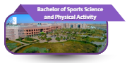 Bachelor of Sports Sciences and Physical Activity