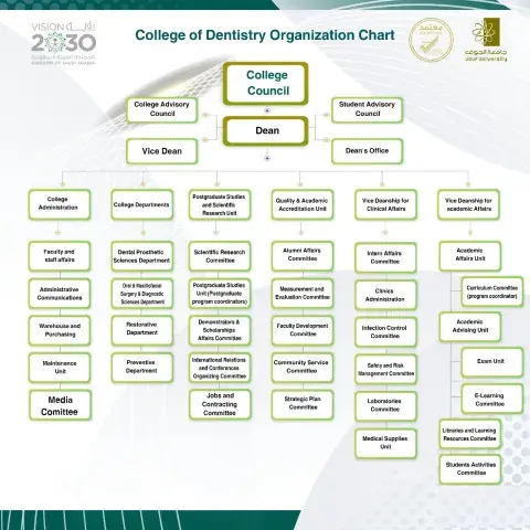 Organizational Structure of the Faculty of Dentistry