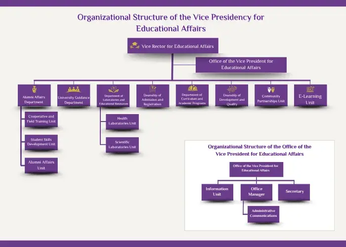Organizational Structure of the Vice Presidency for Educational Affairs