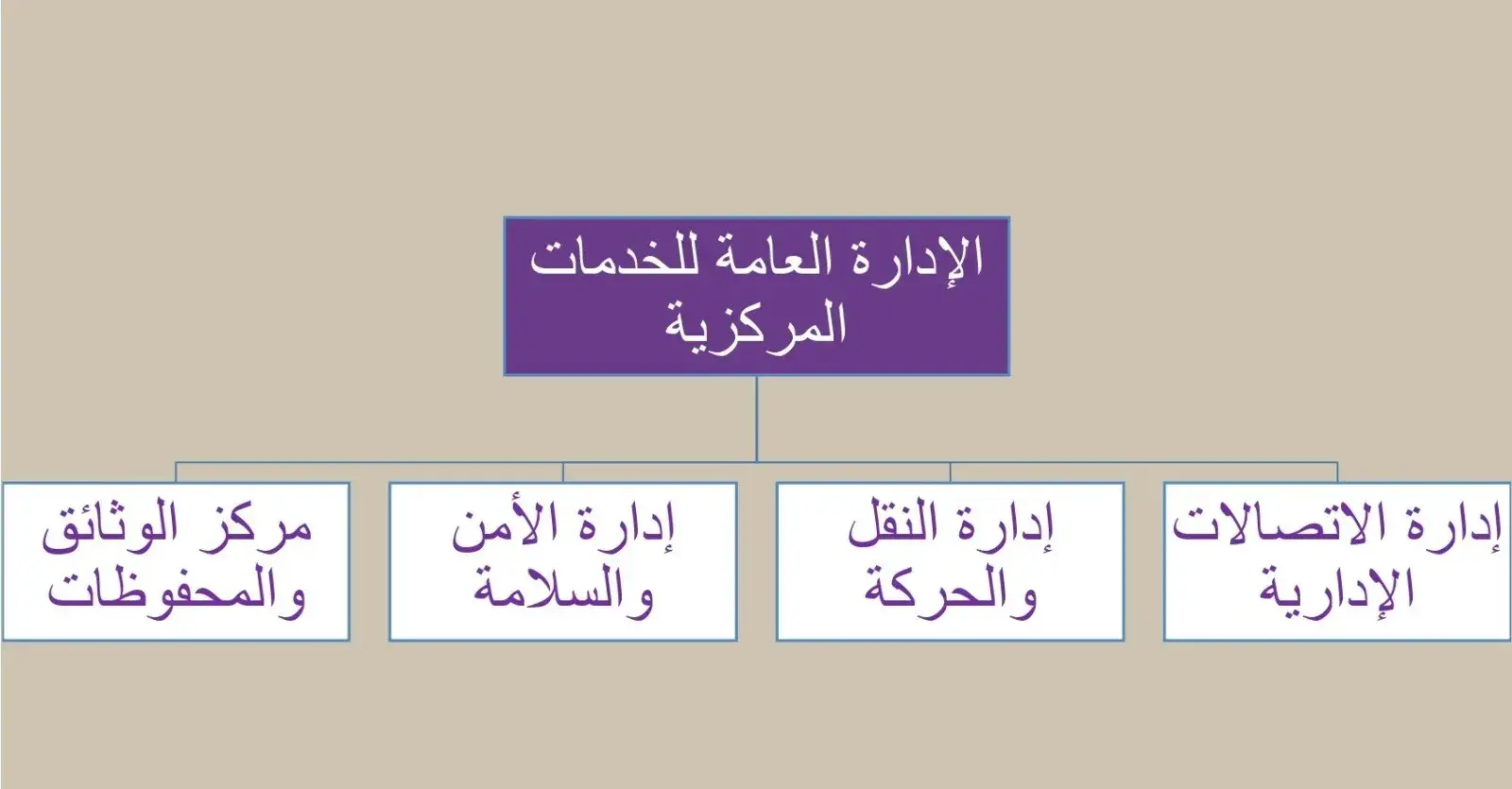 الهيكل التنظيمي للإدارة العامة للخدمات المركزية