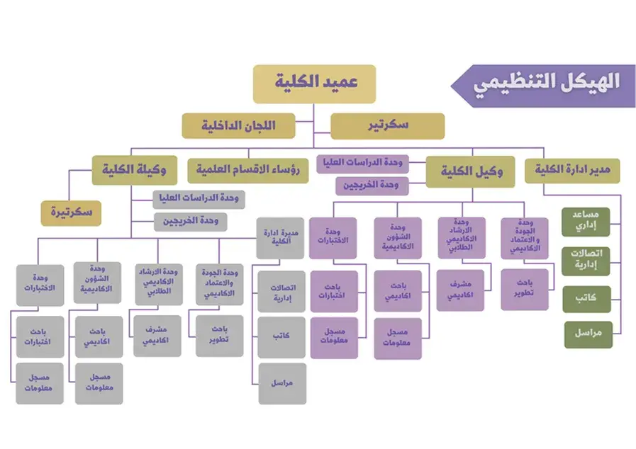 Organizational structure of the Faculty of Education