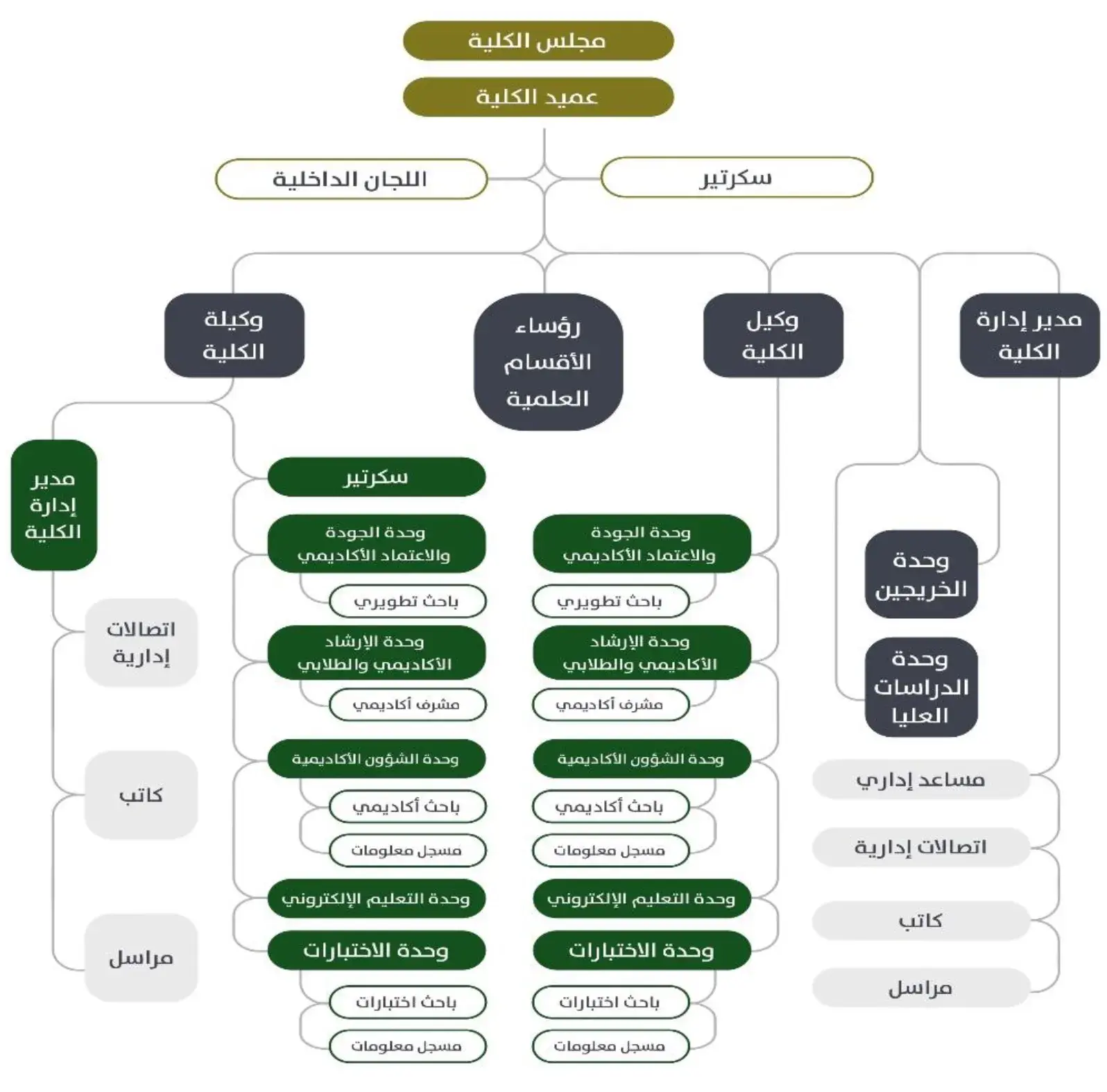 The Organizational Structure of the College of Computer Science and Information