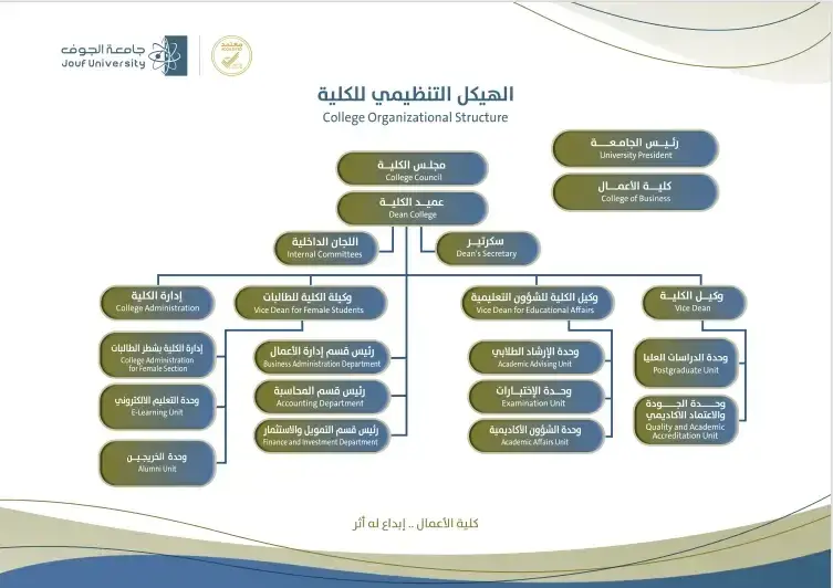 الهيكل التنظيمي لكلية الأعمال