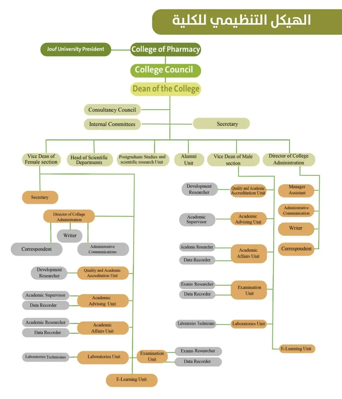 مخطط الهيكل التنظيمي لكلية الصيدلة
