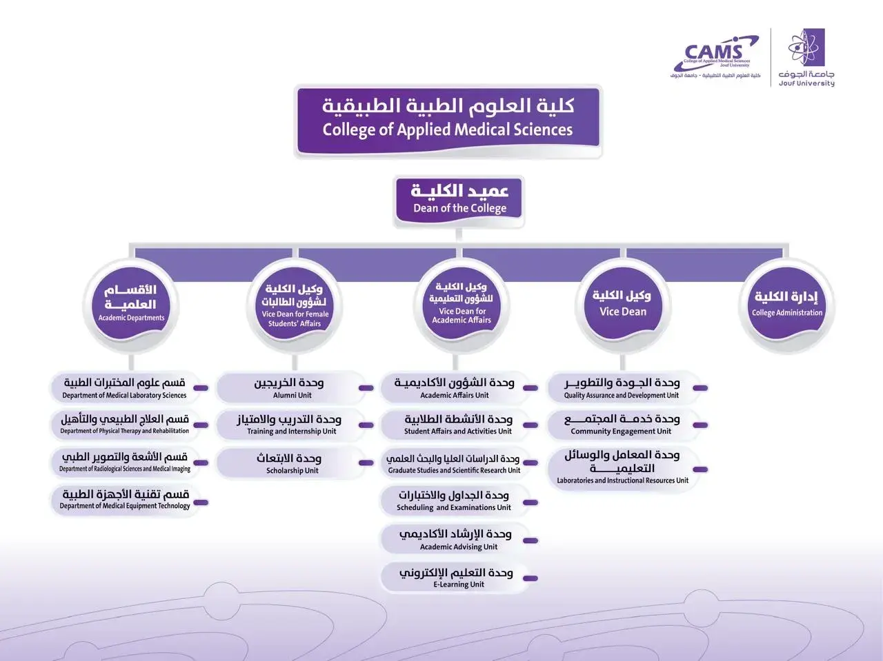 The organizational structure of the College