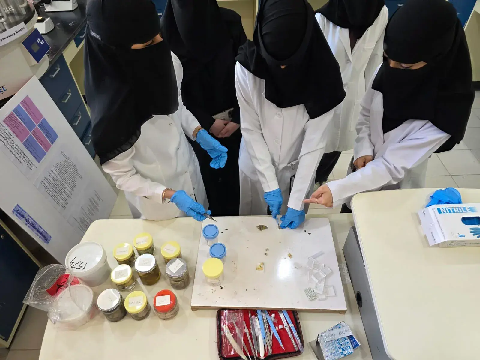 تعزيز الجانب المهاري وربط المعرفة بالواقع العملي في المختبرات الإكلينيكية